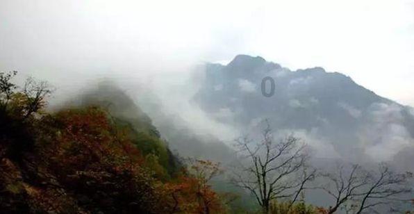 发现冷知识,尽在广东省内异地社保转移!